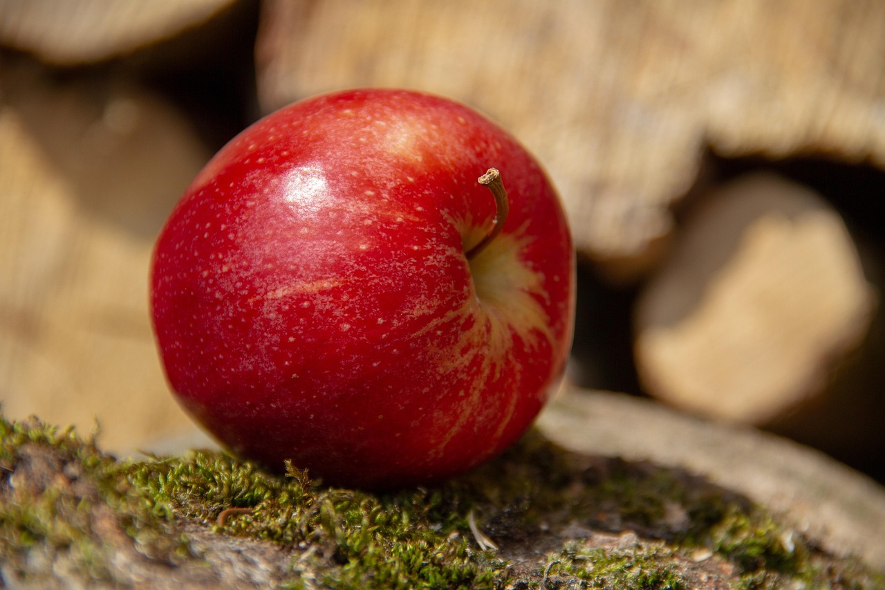 entdecken sie alles wissenswerte über vitamine: bedeutung, funktionen und wie sie ihre gesundheit unterstützen. erfahren sie mehr über vitaminquellen und deren vorteile für ihren körper.