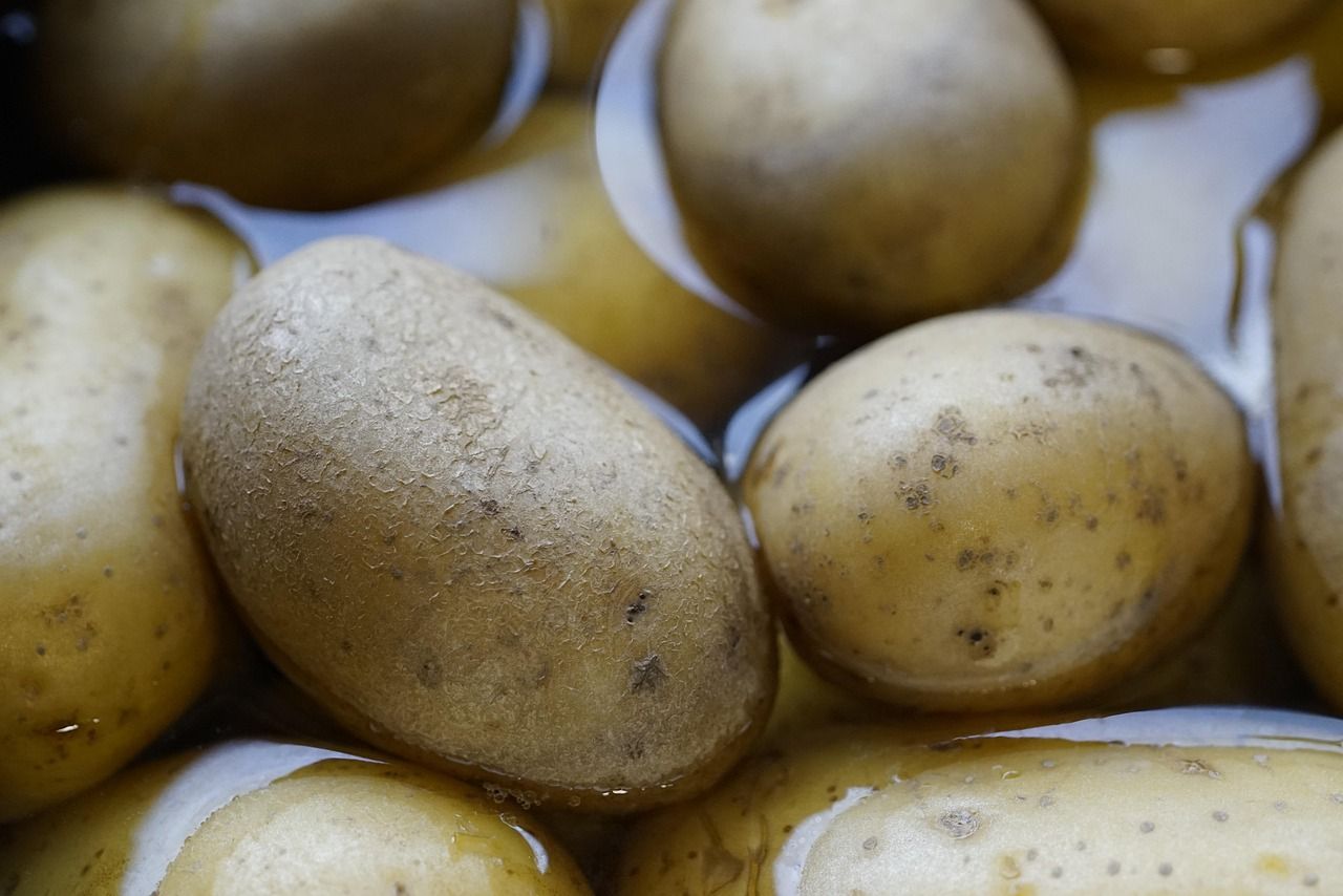 entdecken sie gesunde kochrezepte und tipps für eine ausgewogene ernährung. mit unseren einfachen und leckeren gerichten kochen sie gesund und genießen jeden tag vollwertige mahlzeiten.