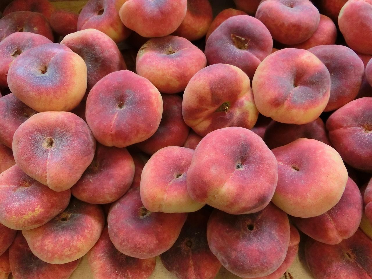 entdecken sie die wichtigsten vitamine für ihre gesundheit. erfahren sie alles über wirkung, einnahme und vorteile von vitaminen für ihr wohlbefinden.