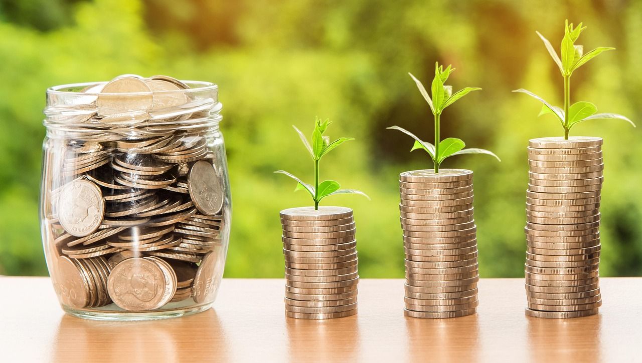 entdecken sie nachhaltige investments: wie sie verantwortungsvoll und gewinnorientiert in eine grüne zukunft investieren. erfahren sie mehr über chancen und vorteile nachhaltiger geldanlagen.