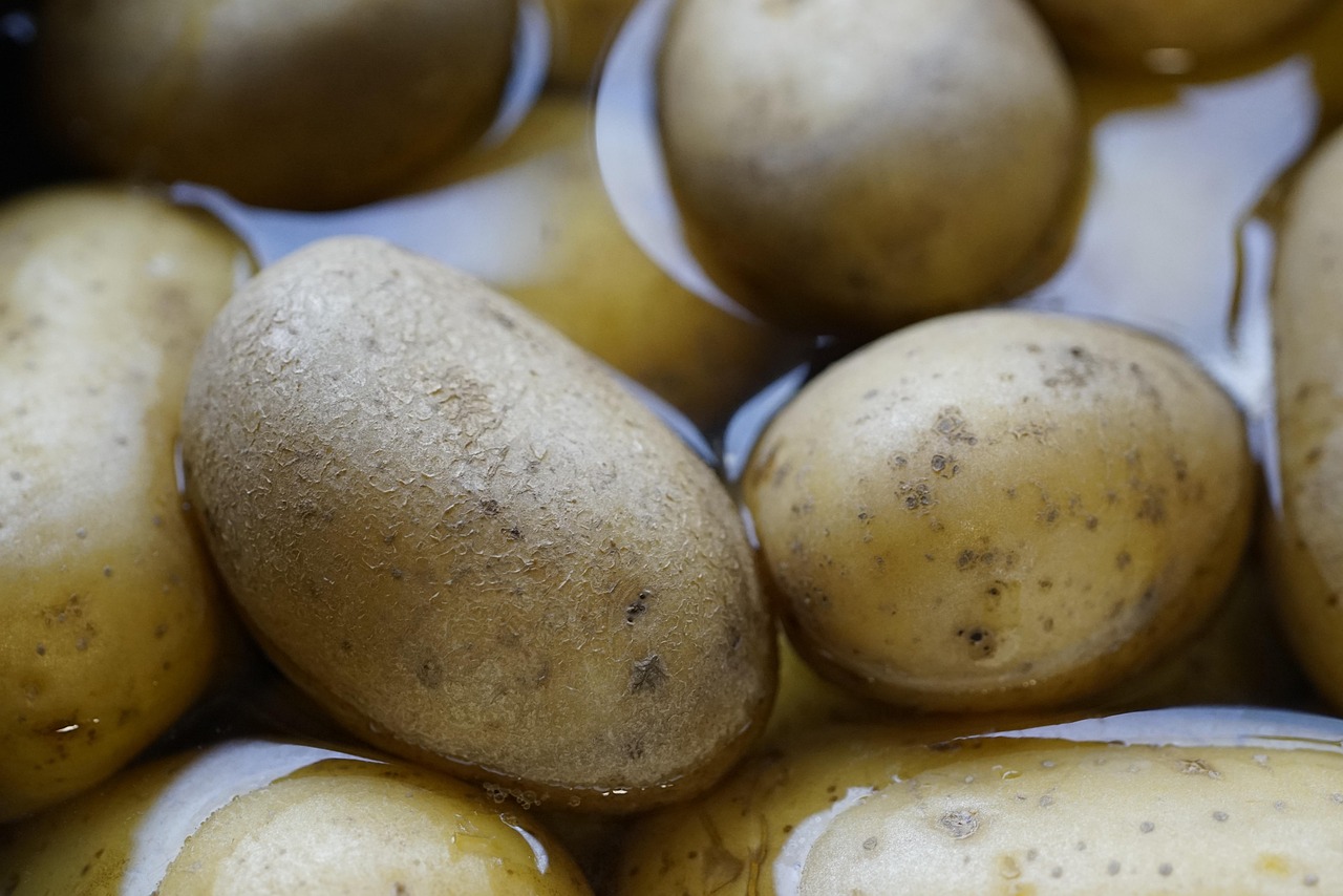 entdecken sie gesunde kochrezepte und tipps für eine ausgewogene ernährung. mit unseren einfachen und leckeren gerichten kochen sie gesund und genießen jeden tag vollwertige mahlzeiten.