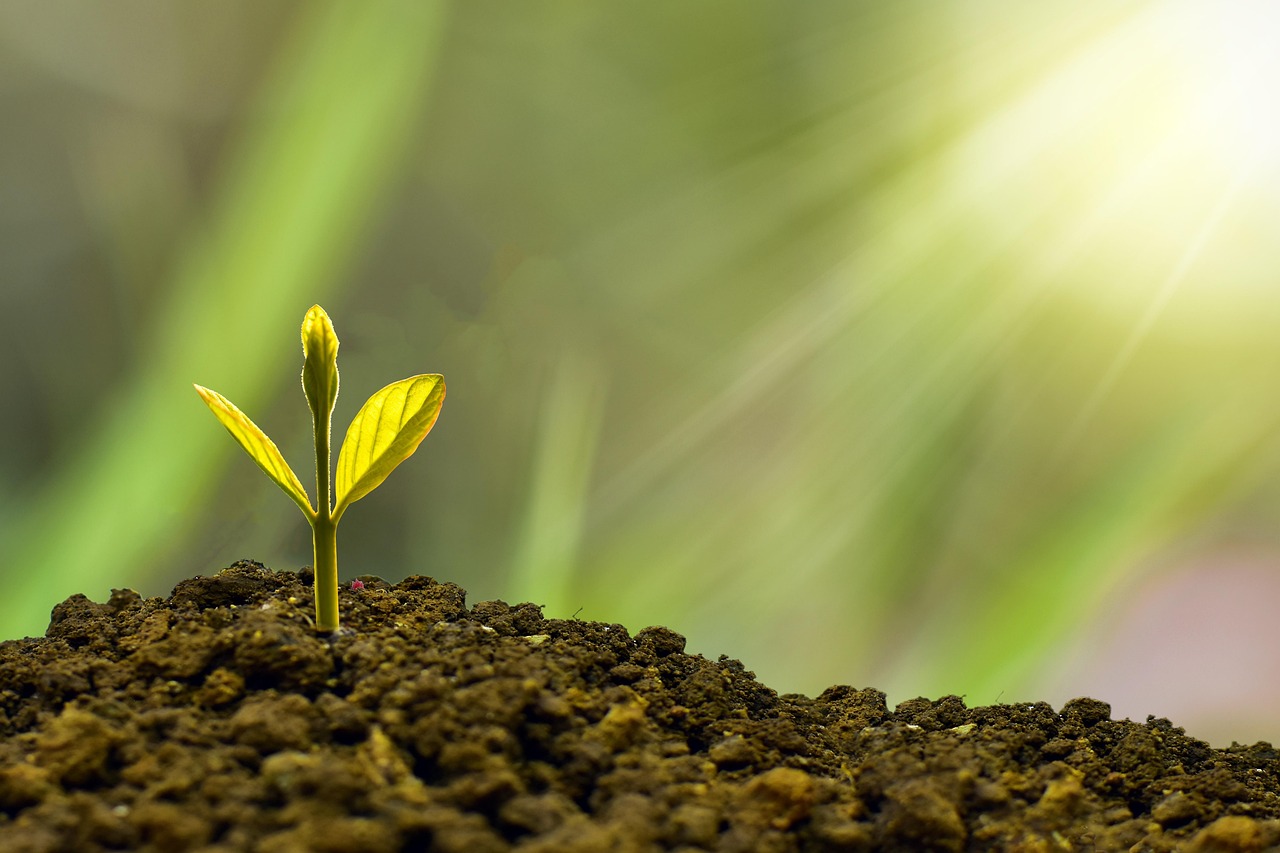 entdecken sie nachhaltige investitionen: erfahren sie, wie sie mit verantwortungsvollen geldanlagen umwelt und gesellschaft fördern und gleichzeitig attraktive renditen erzielen können.